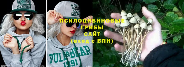 спиды Алексин
