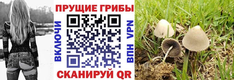 наркотики  Еманжелинск  Псилоцибиновые грибы MAGIC MUSHROOMS 